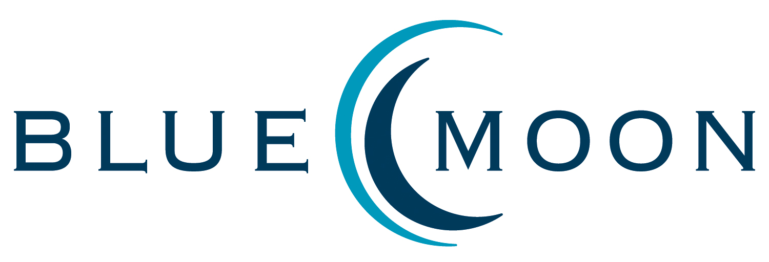 Customer Invoice Portal - Blue Moon Industries