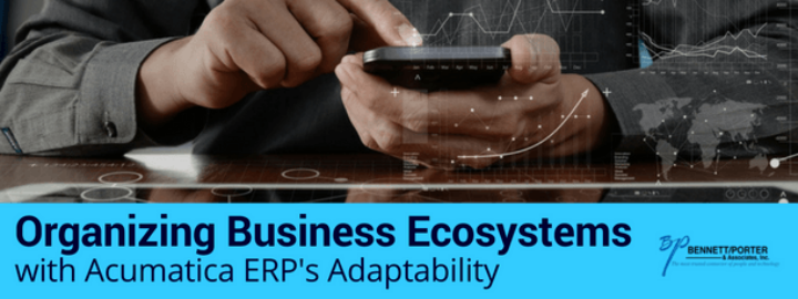 Organizing Business Ecosystems with Acumatica ERP’s Adaptability