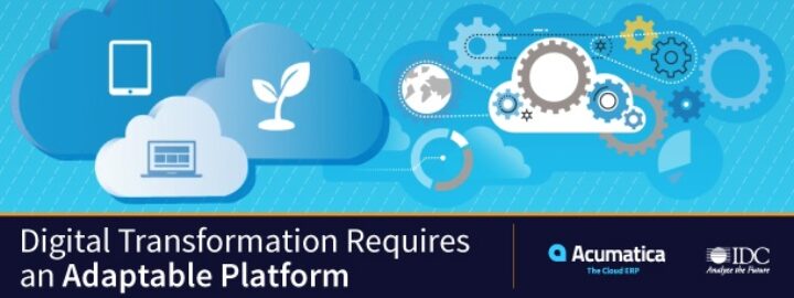 IDC Infographic: Digital Transformation Requires an Adaptable Platform