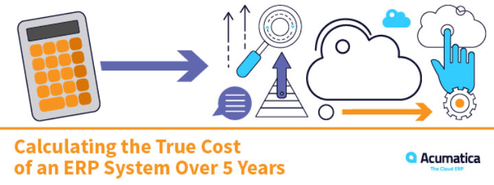 ERP System Cost: Calculating the True Cost of an ERP System Over 5 years