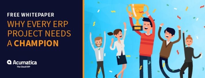 Why Every ERP Project Needs a Champion