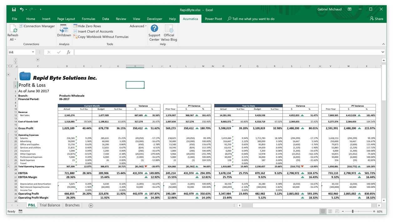 A sample Excel report that includes live data from Acumatica