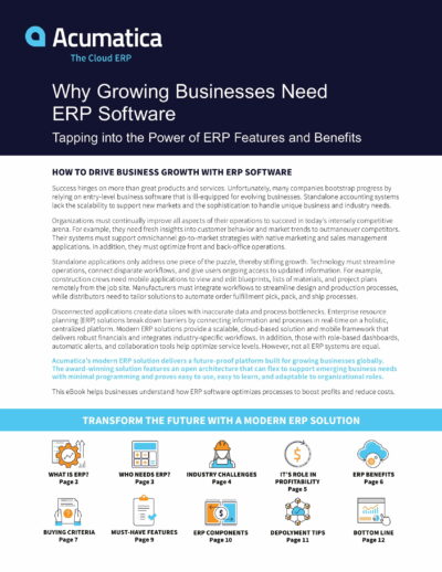 Boost Sales, Increase Productivity, Enable Entry into New Markets (and More) with a Business ERP Solution